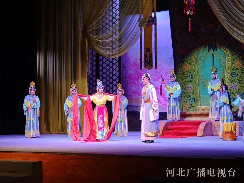 你是否为成为一名专业的演出经纪人而努力？了解并掌握演出经纪人资格证考试中的常见考点是十分必要的。今天，让我们通过对比分析的方式，来深入探讨这些知识点和答案。