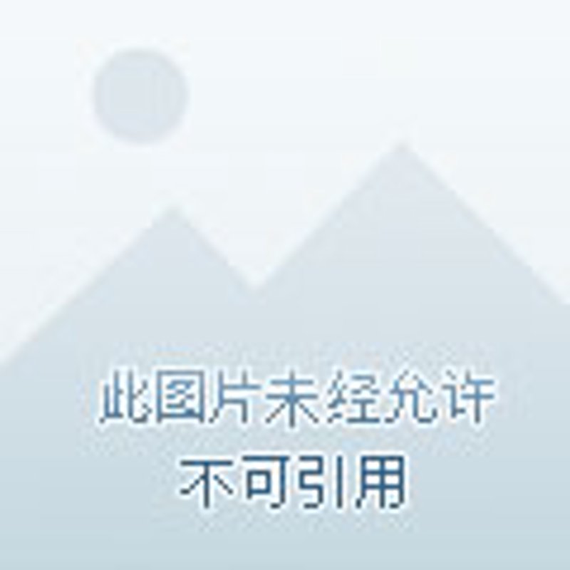 文化活动策划与组织：一场盛大的视觉盛宴